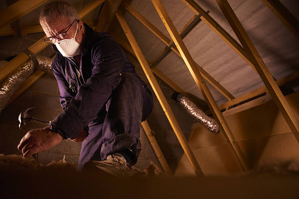 Best Insulation Materials and Products in Elkhorn, CA